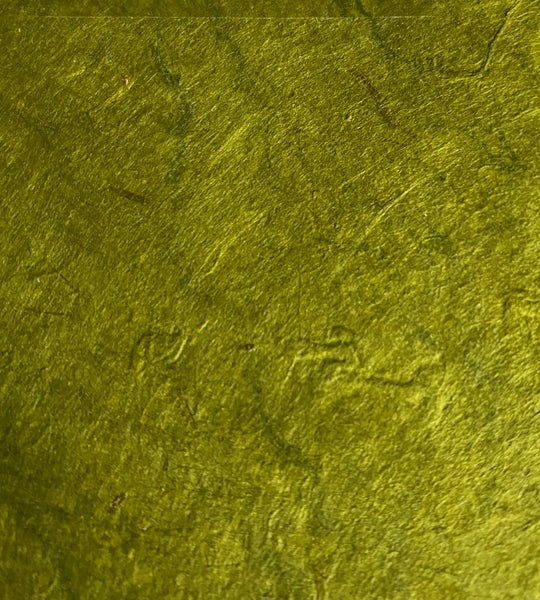 Cactus_5