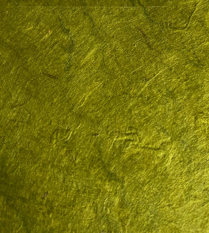 Cactus_5