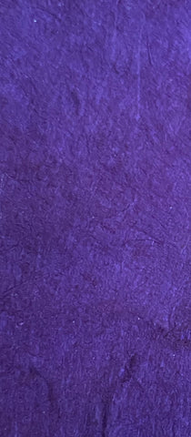 Eggplant_6